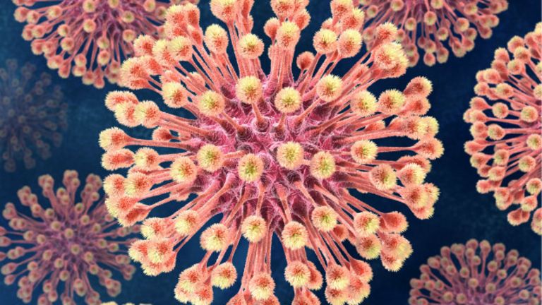 Imagen 3: Virus, los m�s numerosos